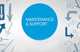 Annual Support & Maintenance